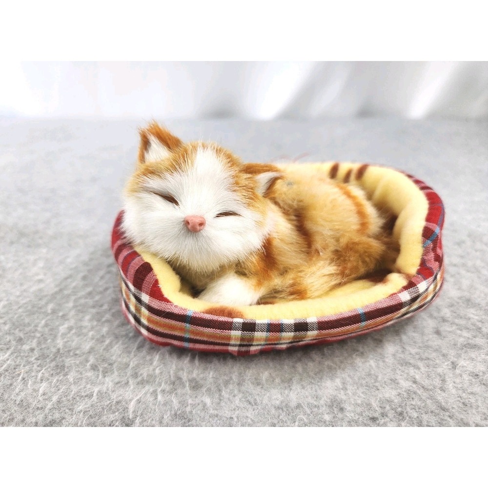 Cat Kitten Plush Fur Small Kitty Sleeping Pink Nose Basket Bed Snores Purrs